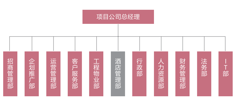 商业地产项目公司标准架构