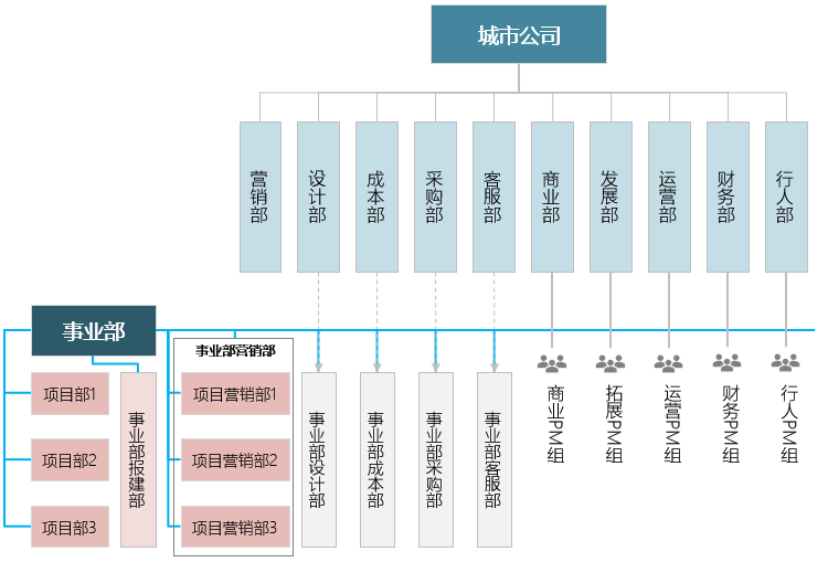 实体事业部制标准组织架构